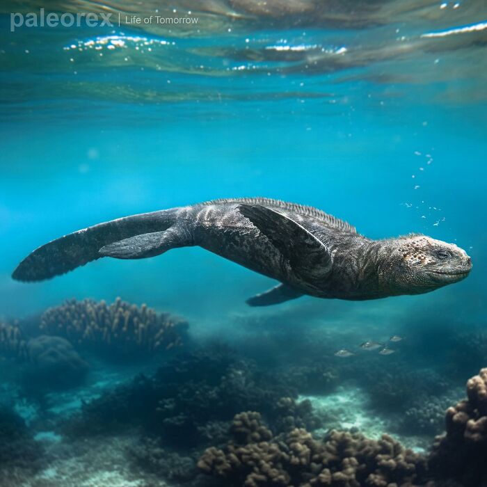 Underwater scene of speculative evolution animal with flippers, swimming in clear blue water above coral reefs.