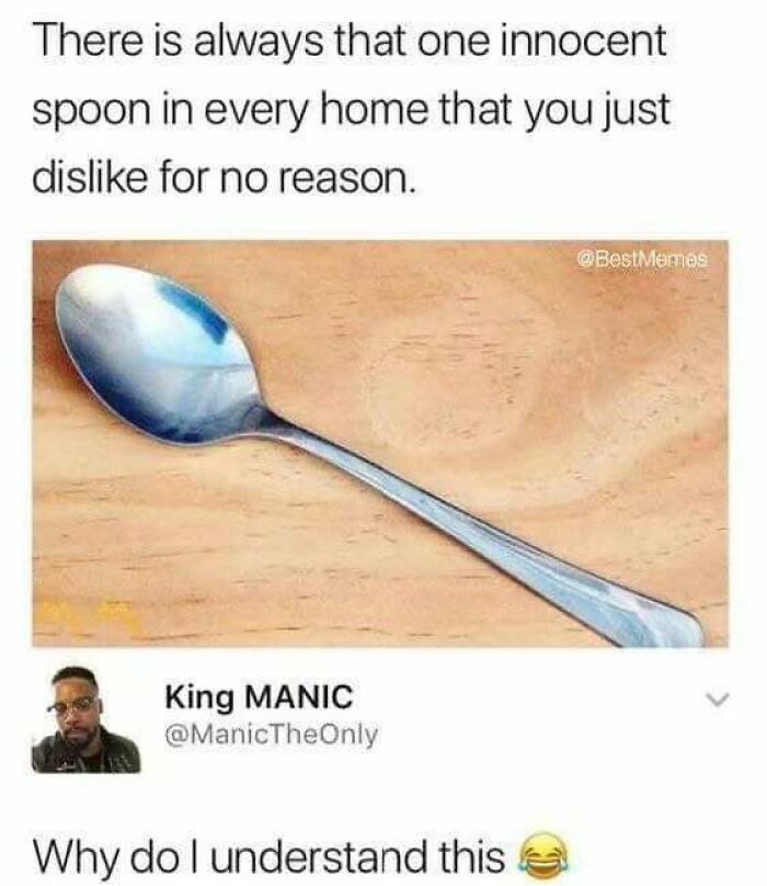 Amusing meme: a spoon described as the one you dislike for no reason, with user comment and laughing emoji.