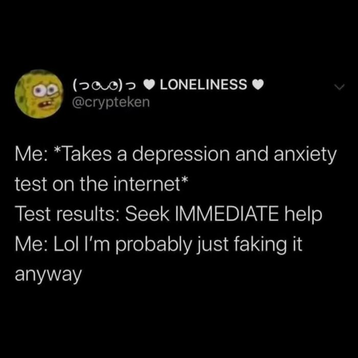 Amusing meme from Diary Introverts about online depression test results and self-doubt humor.
