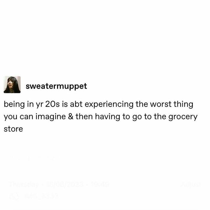 Social media post about life in your 20s, balancing tough experiences and mundane tasks like grocery shopping, from sweatermuppet.