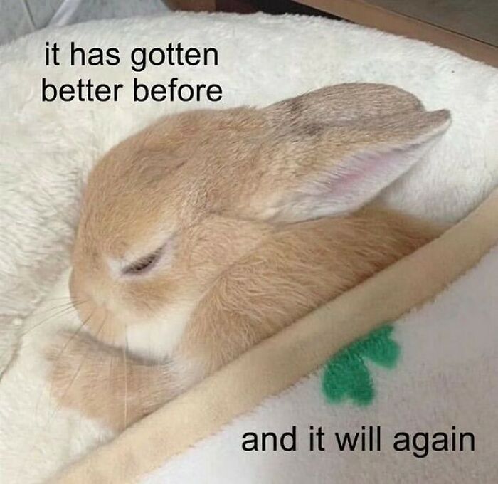 A cozy bunny snuggled in a blanket, featuring an encouraging message about positivity and hope.