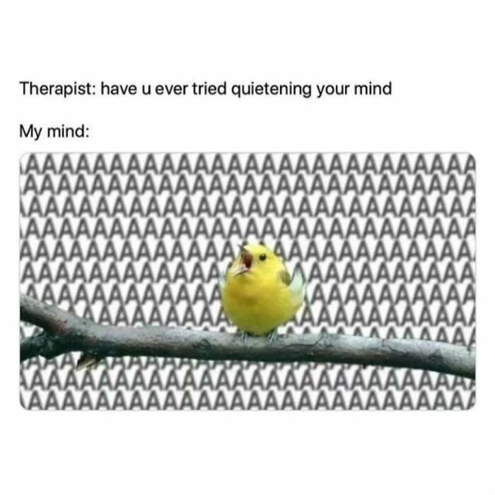 Yellow bird meme humorously illustrates introvert's noisy mind.
