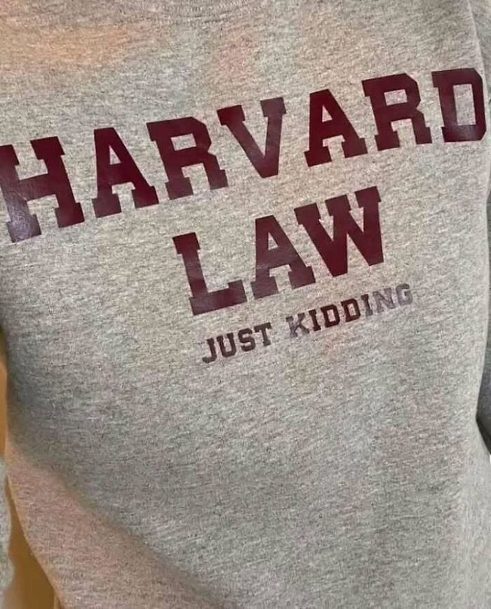 Gray T-shirt with "Harvard Law" text and playful "Just Kidding" print, exemplifying chaotic T-shirt humor.