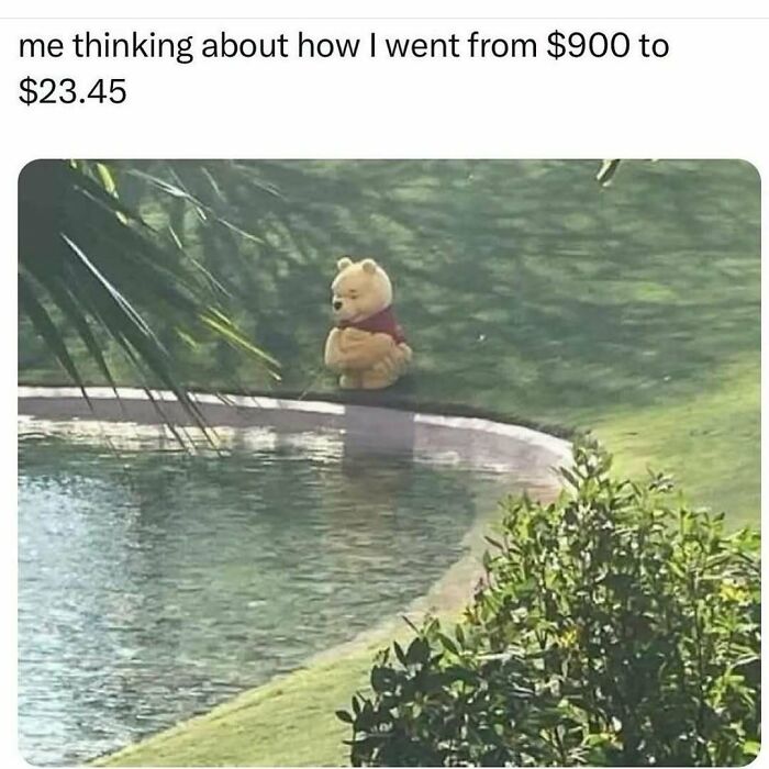 Winnie the Pooh sitting by a pond, reflecting on finances.