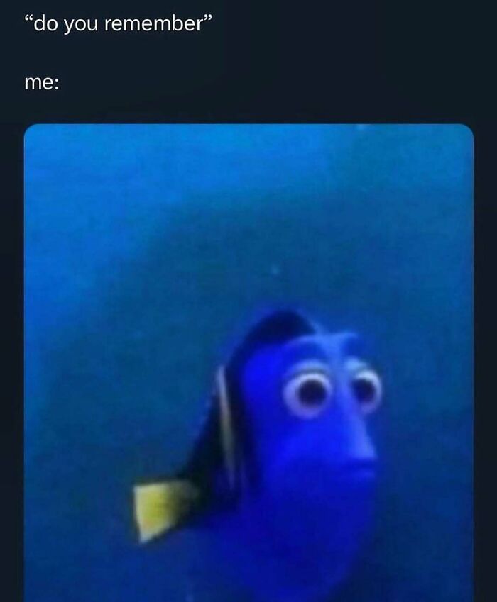 A blue cartoon fish with large eyes looks confused, referencing memory-related memes.