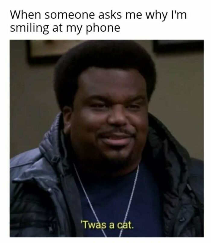 Man smiling at phone, captioned "Twas a cat," depicting the humor of a cat in play mode.
