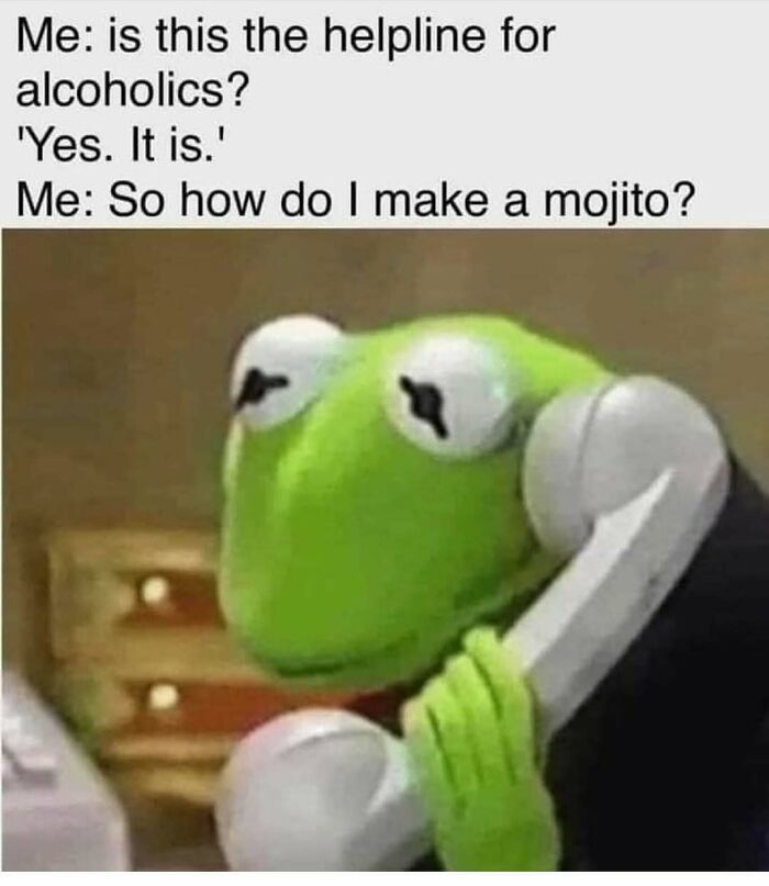Kermit the Frog holding a phone with humorous text about seeking a mojito recipe, meant to make your day better.