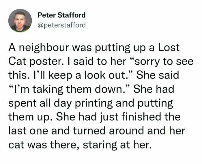 Text post humorously highlighting a cat's playful attitude by unexpectedly returning home.