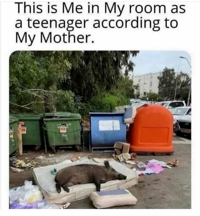 Trash bins and a boar on a mattress, humorously depicting teenage rooms to make your day better.