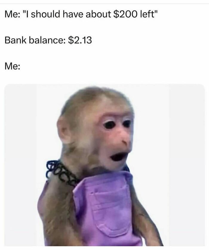 Monkey looking surprised, wearing a purple shirt, representing relatable meme humor to brighten your day.