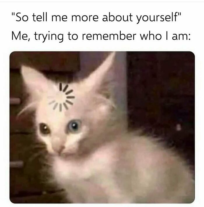 Confused cat meme with a loading icon on its forehead, adding humor to brighten your day.