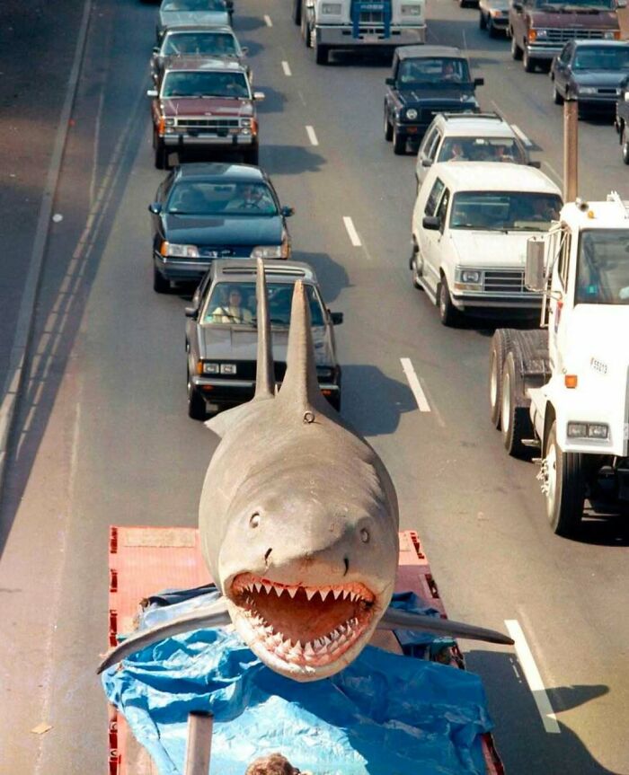 Shark model on a truck amidst '90s traffic, capturing a wild and wholesome moment from the era.