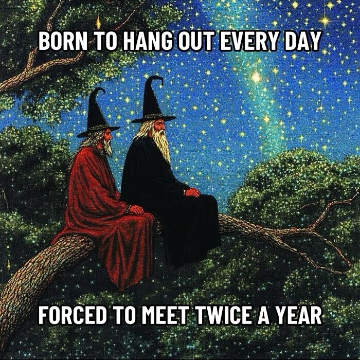 Two wizards on a tree branch under a starry sky with text: "Born to hang out every day, forced to meet twice a year." Ancient memes.