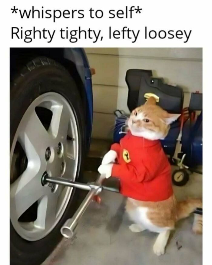 Cat in play mode, wearing a red shirt, humorously pretending to fix a car tire with a wrench.