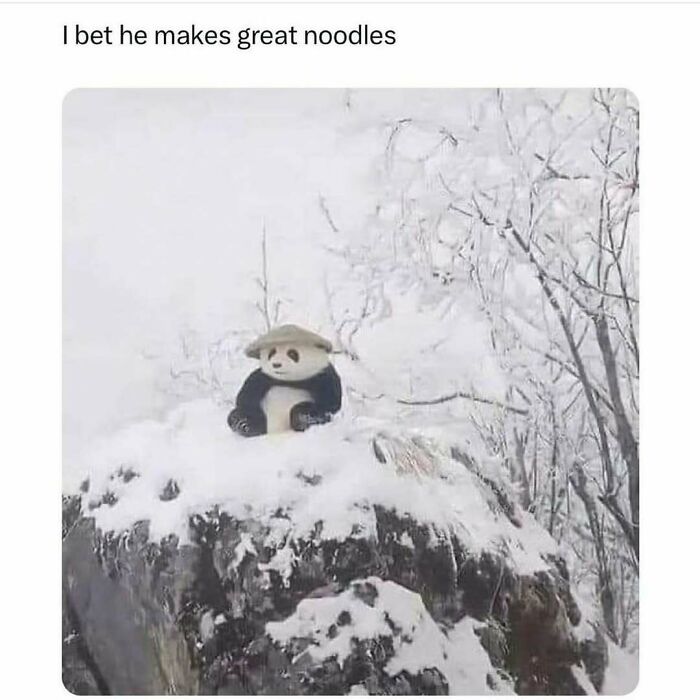 Panda wearing a hat, sitting on a snow-covered rock, evoking a feel-good meme moment.