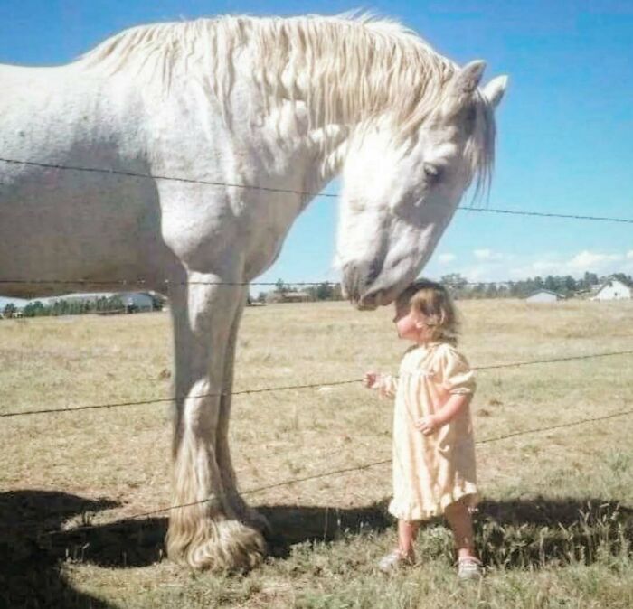 A child gently touches a white horse in a field, evoking wholesome '90s nostalgia.
