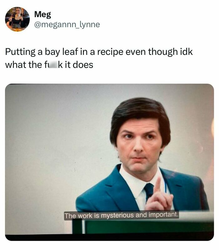 Man in suit with a serious expression; text about adding bay leaf in cooking. Middle Class Fancy meme.