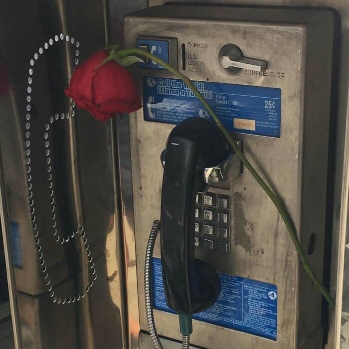 Vintage '90s payphone with a red rose tucked in, capturing a nostalgic moment.