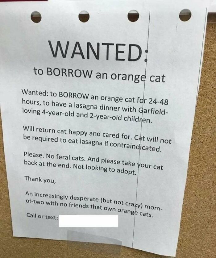 "Wanted poster to borrow an orange cat for a playful lasagna dinner with kids, ensuring feline care and return."