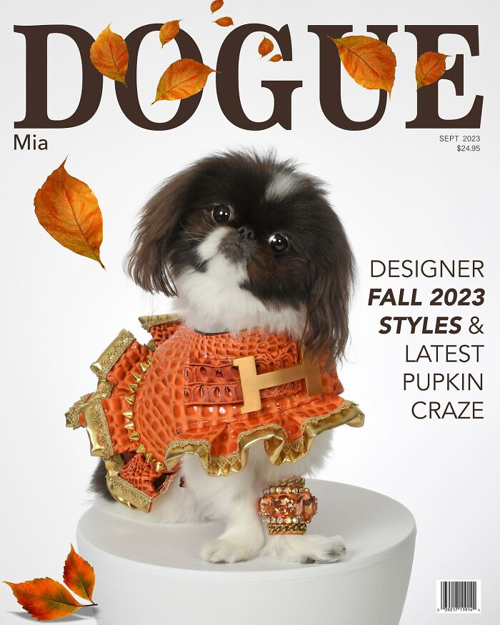Dog in orange fall fashion on Dogue magazine cover.