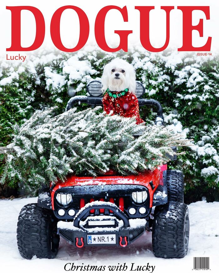 Dog in red outfit on a toy car, surrounded by snow and Christmas trees, featured in Dogue fashion magazine.