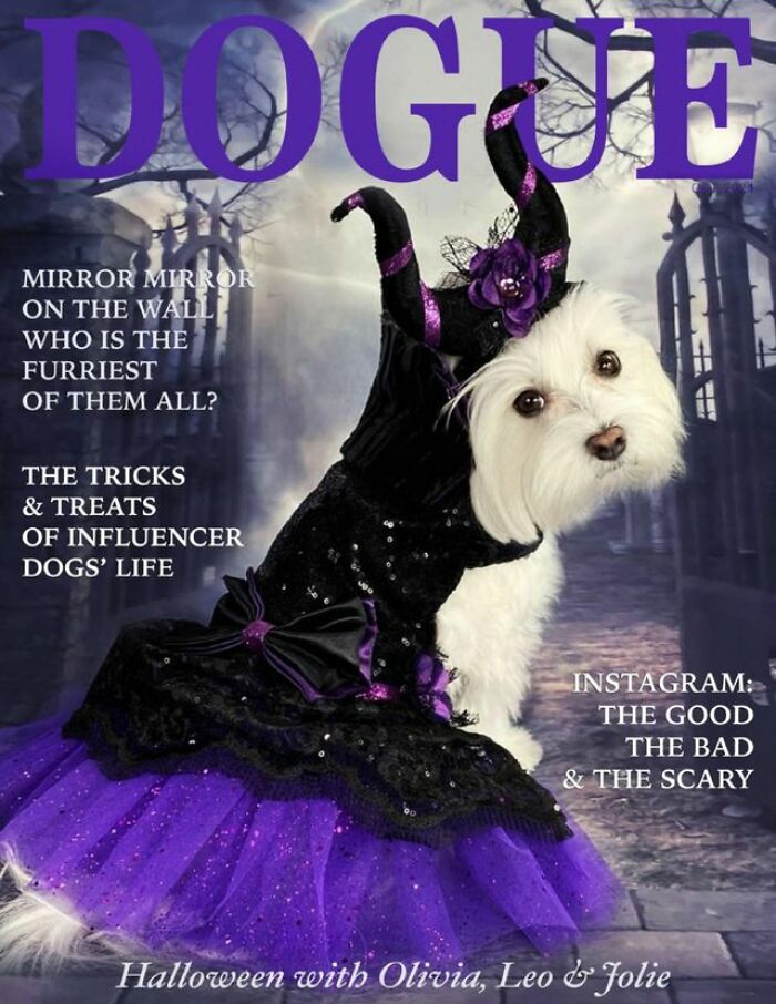 White dog in a black and purple witch costume on a Halloween-themed Dogue magazine cover.