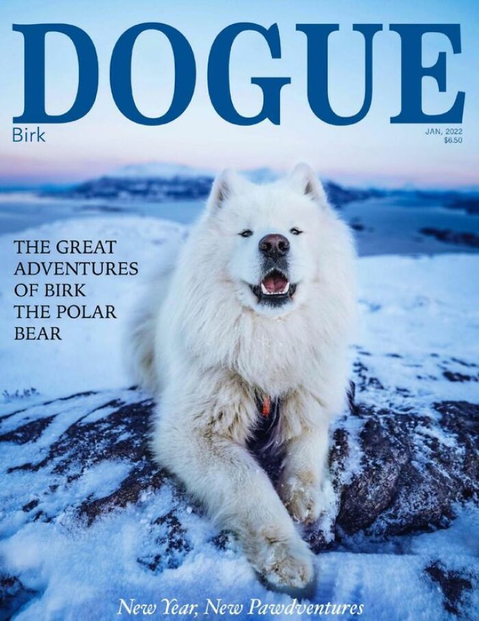 White dog on snow in Dogue fashion magazine cover.
