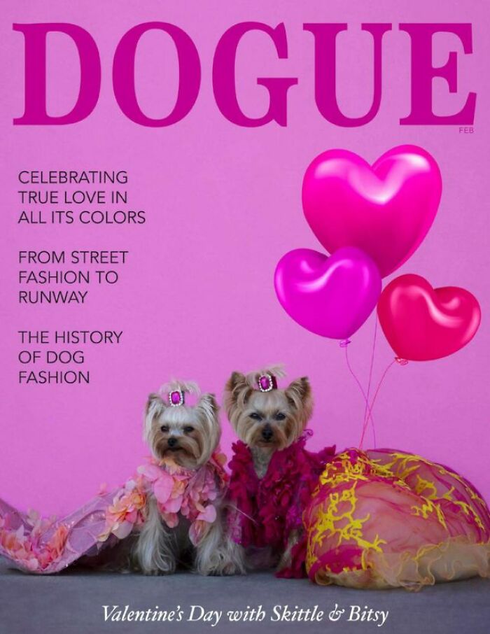 Two dogs in vibrant fashion outfits with heart balloons, featured on a Dogue magazine cover.