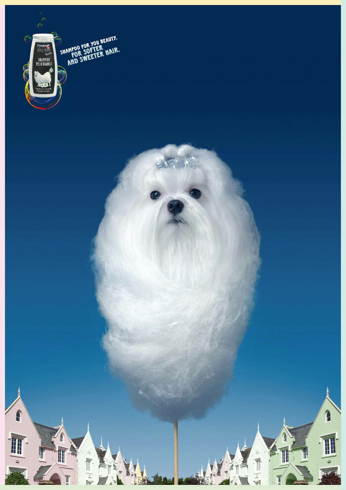 Fluffy white dog resembling cotton candy, in a whimsical ad highlighting unforgettable canine campaigns.