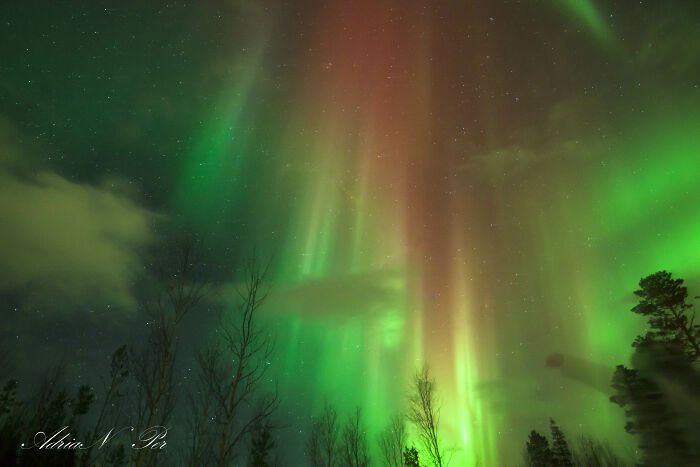 How I Captured The Magic Of The Northern Lights (5 Pics)