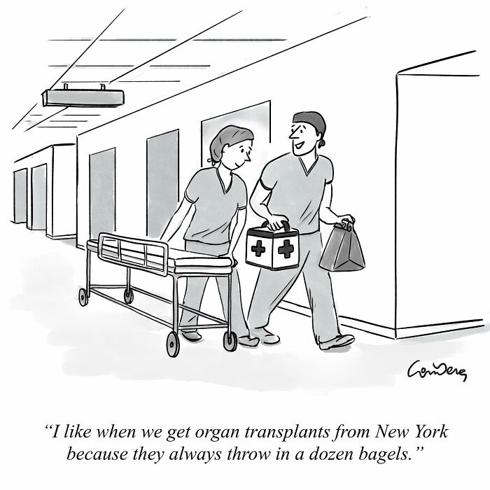 Two cartoon surgeons in a hospital discuss organ transplants with humorous bagel comment.