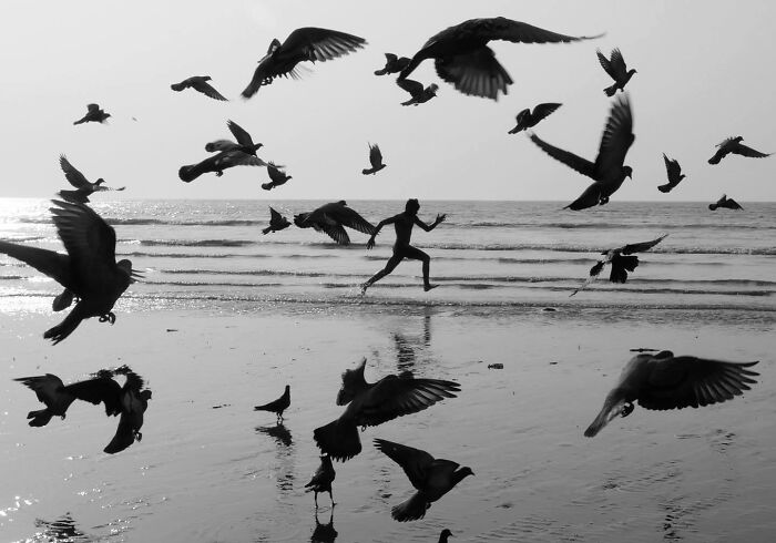 Black and white photo capturing split-second moment of a person running on a beach among flying birds.
