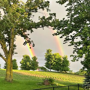 kelly-colgan72 avatar