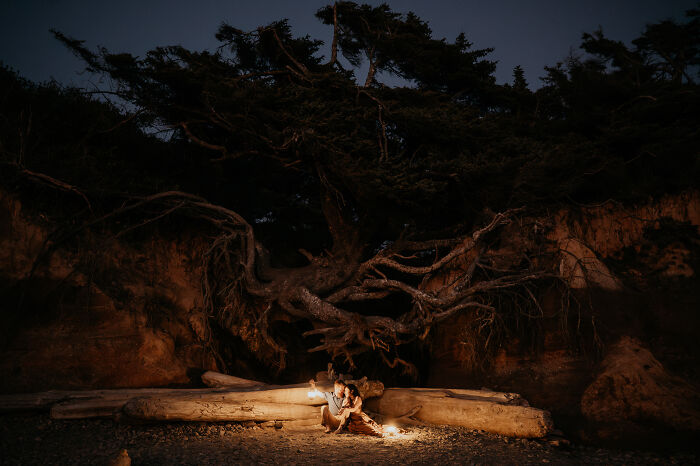 Couple in cozy engagement photo under twisted tree roots at dusk.