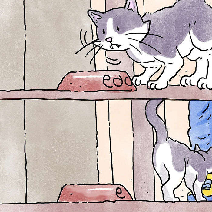 Cat enjoying food on a shelf, depicting a heartwarming story every pet owner can relate to.