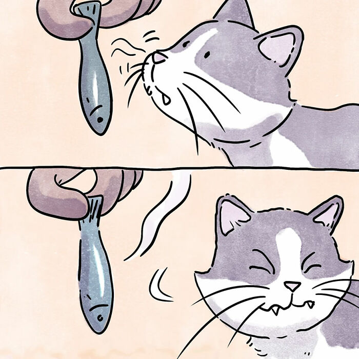 A cat sniffing a fish, illustrating a heartwarming pet story in a comic style.