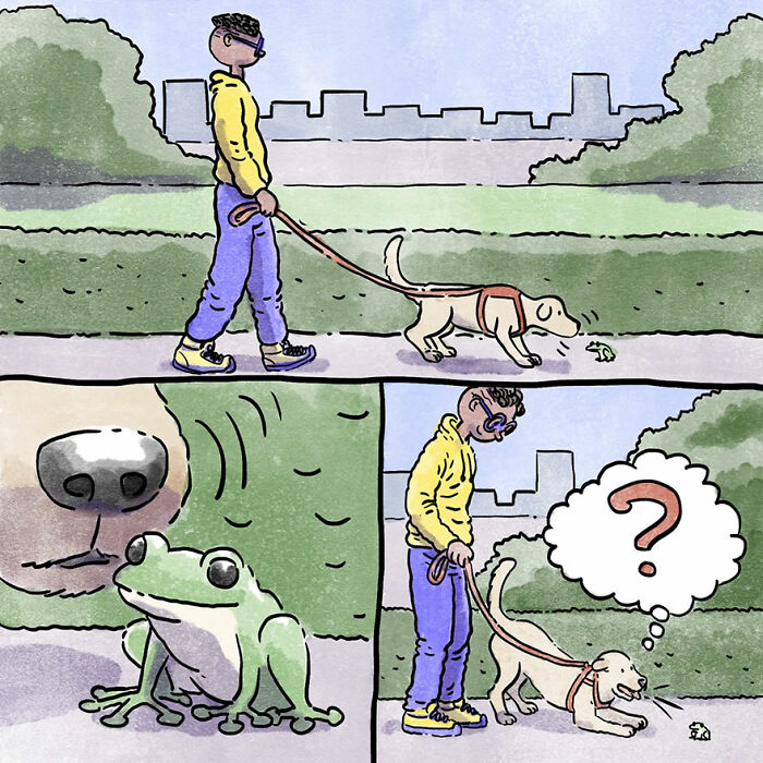 A man walks his curious dog who encounters a frog, illustrating a heartwarming pet story.