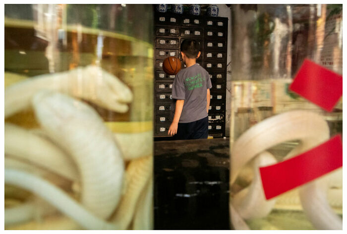 A child with a basketball stands between jars of preserved snakes, capturing a raw, unfiltered street moment.
