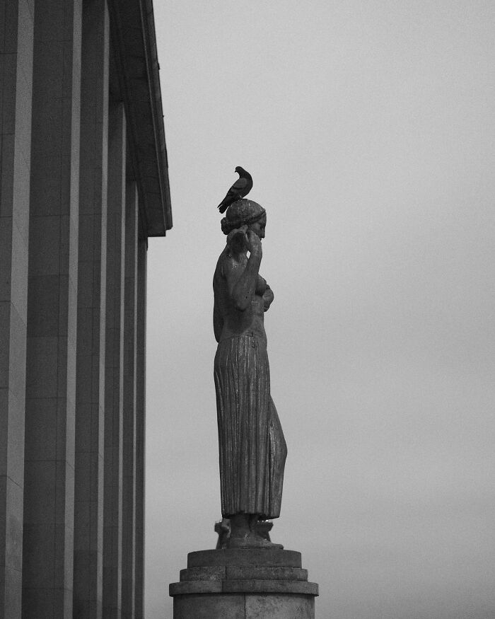 Black-and-white street photograph of a statue with a bird perched on its head, captured by Fernando Pedro Salgado.