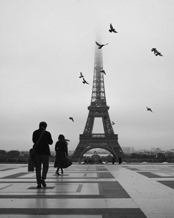 Black-and-white street photograph by Fernando Pedro Salgado of people walking near the Eiffel Tower with birds flying overhead.