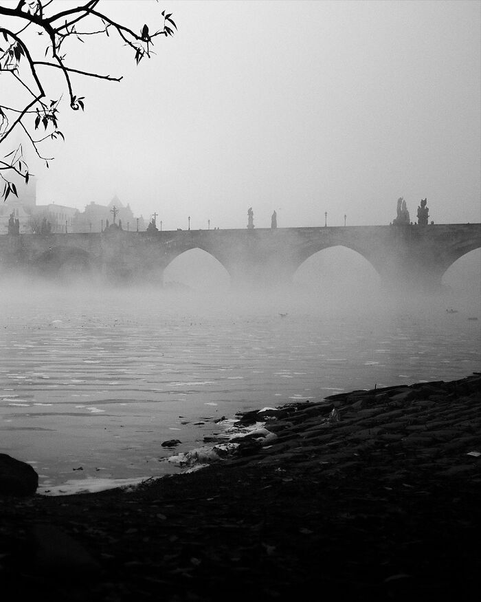 Black-and-white street photograph of a misty bridge scene with branches in the foreground.