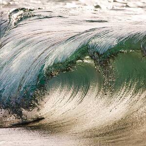 sandicromer_1 avatar