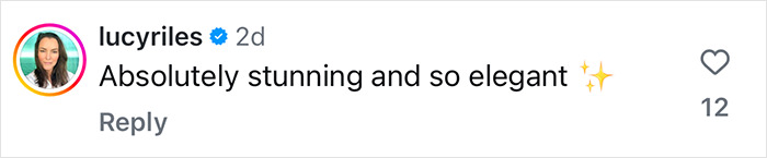 Comment praising Ivanka Trump as stunning and elegant, with heart icon and 12 likes. Comment praising Ivanka Trump as stunning and elegant, with heart icon and 12 likes.