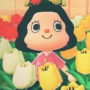 hedgehog_not_found avatar