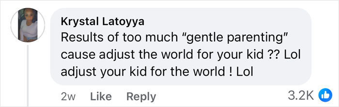Comment criticizing parenting style amid private jet rental discourse. Comment criticizing parenting style amid private jet rental discourse.