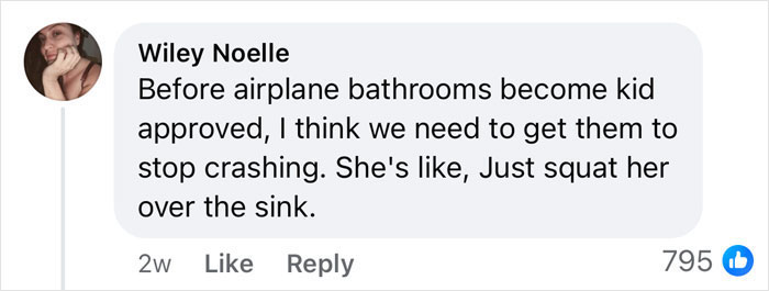 Comment discussing airplane bathrooms in response to mom's complaint about child using one; context mentions "Rent A Private Jet". Comment discussing airplane bathrooms in response to mom's complaint about child using one; context mentions "Rent A Private Jet".