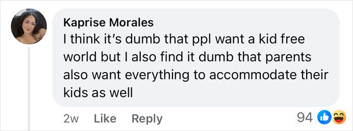 Comment discussing expectations of accommodations for kids on planes amidst the "Rent A Private Jet" controversy. Comment discussing expectations of accommodations for kids on planes amidst the "Rent A Private Jet" controversy.