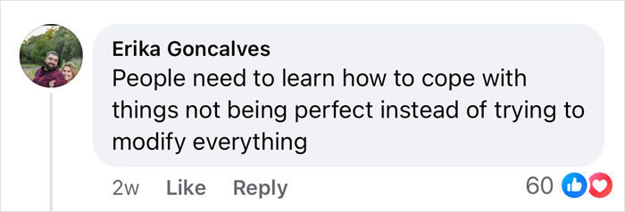 Comment on post, related to "Rent A Private Jet", about coping with imperfections. Comment on post, related to "Rent A Private Jet", about coping with imperfections.