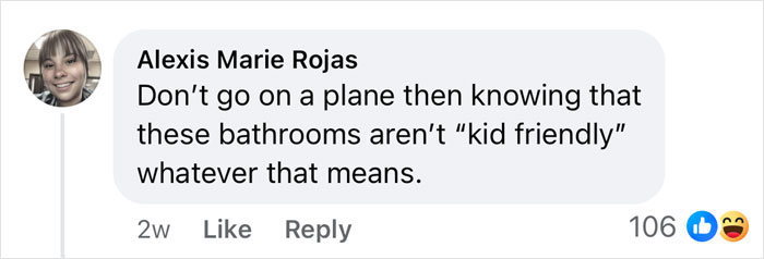 Comment on airplane bathroom issue suggests renting a private jet for a more kid-friendly experience. Comment on airplane bathroom issue suggests renting a private jet for a more kid-friendly experience.