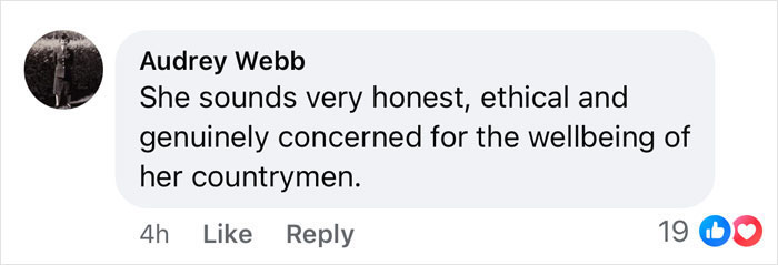Comment by Audrey Webb about a person sounding honest and ethical, related to Harry's charity and Meghan at a polo event.